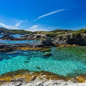 Appartement Vacances Idéales Limite Sanary Sur Mer !! Logement Partagé Shared, Ollioules